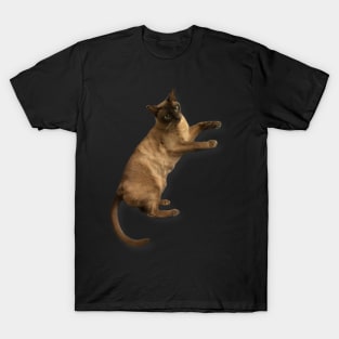 Cat relaxing on a floor pillow T-Shirt